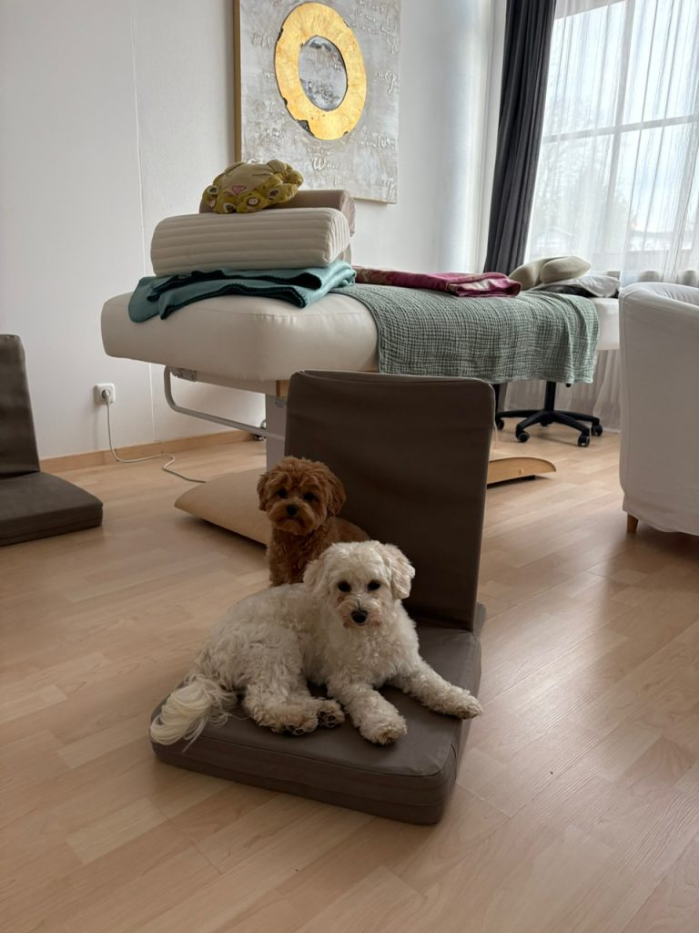 Tiergestützte Therapie in München